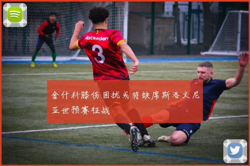 舍什科膝伤困扰或将缺席斯洛文尼亚世预赛征战